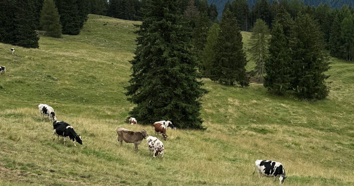 7-Days Northern Italy Tour